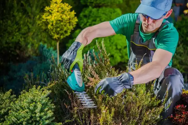 landscaping services Clio